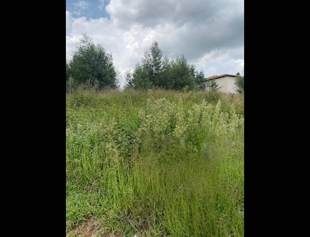 991M² VACANT LAND FOR SALE IN OHENIMURI